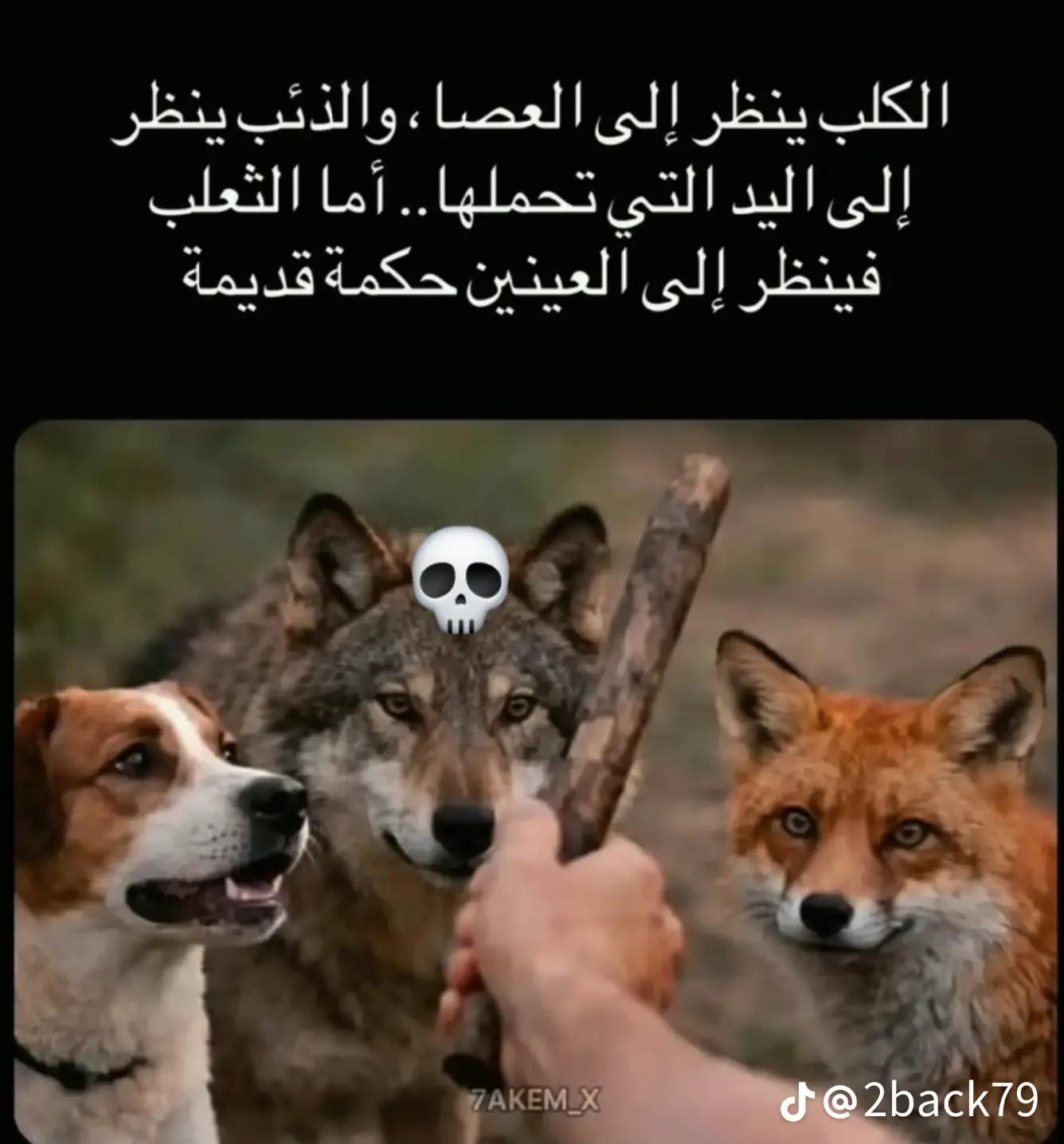@Asma. my.