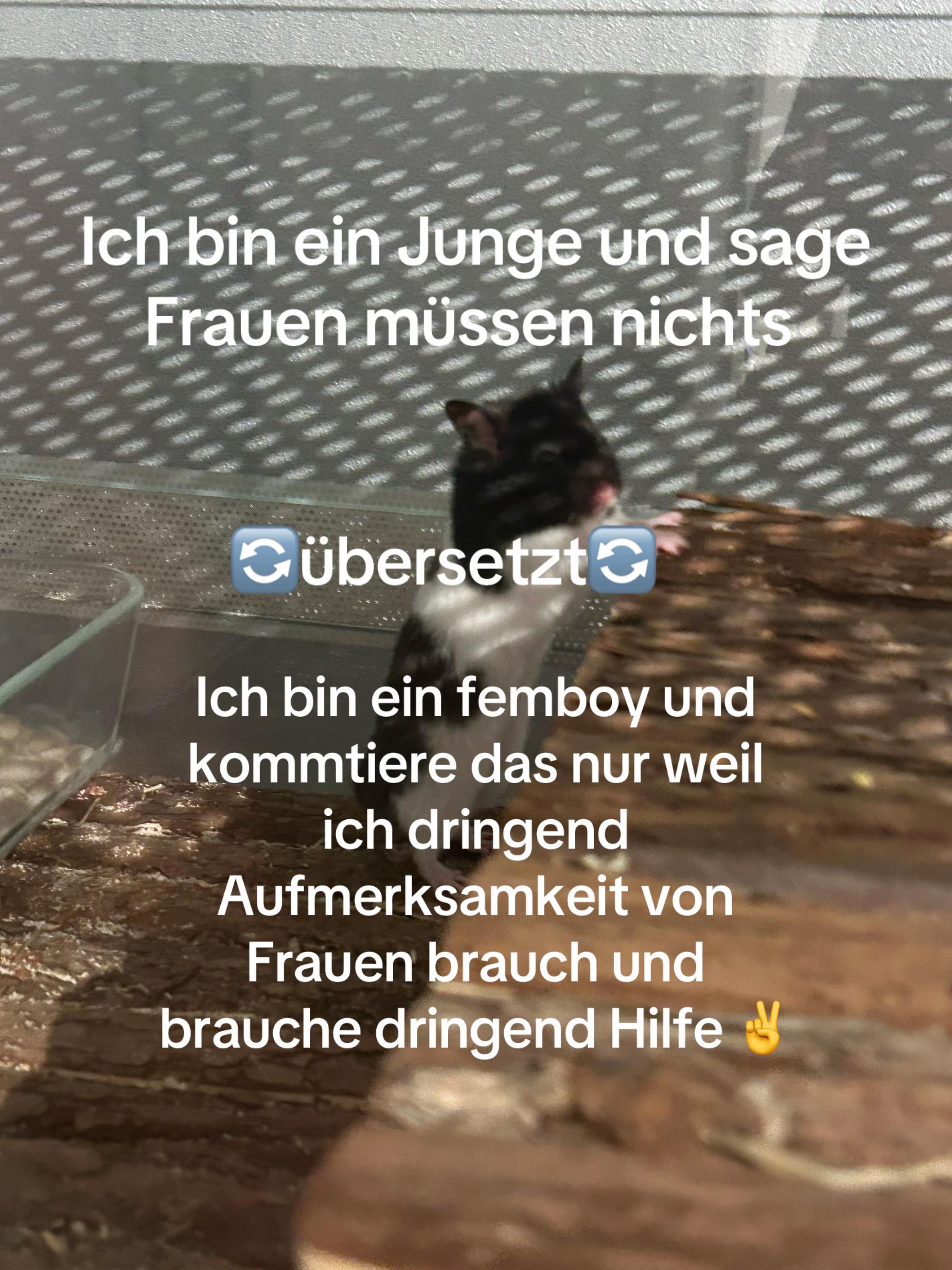 @Brotscheibe01