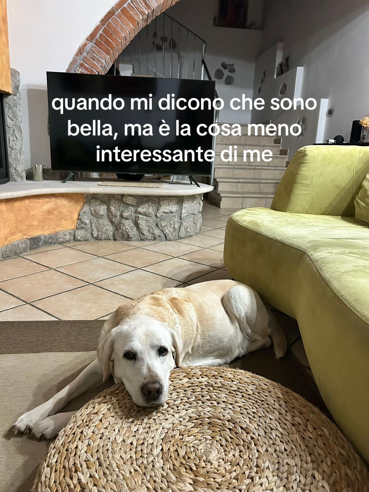 @Giulia