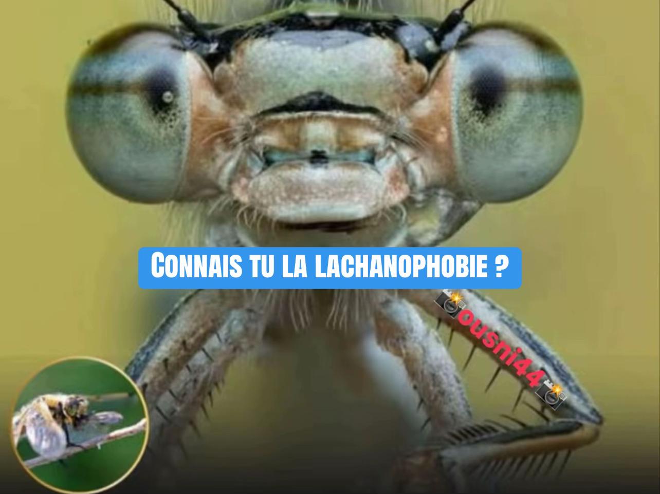 @🏴&zwj;☠️ Ousni44 🏴&zwj;☠️