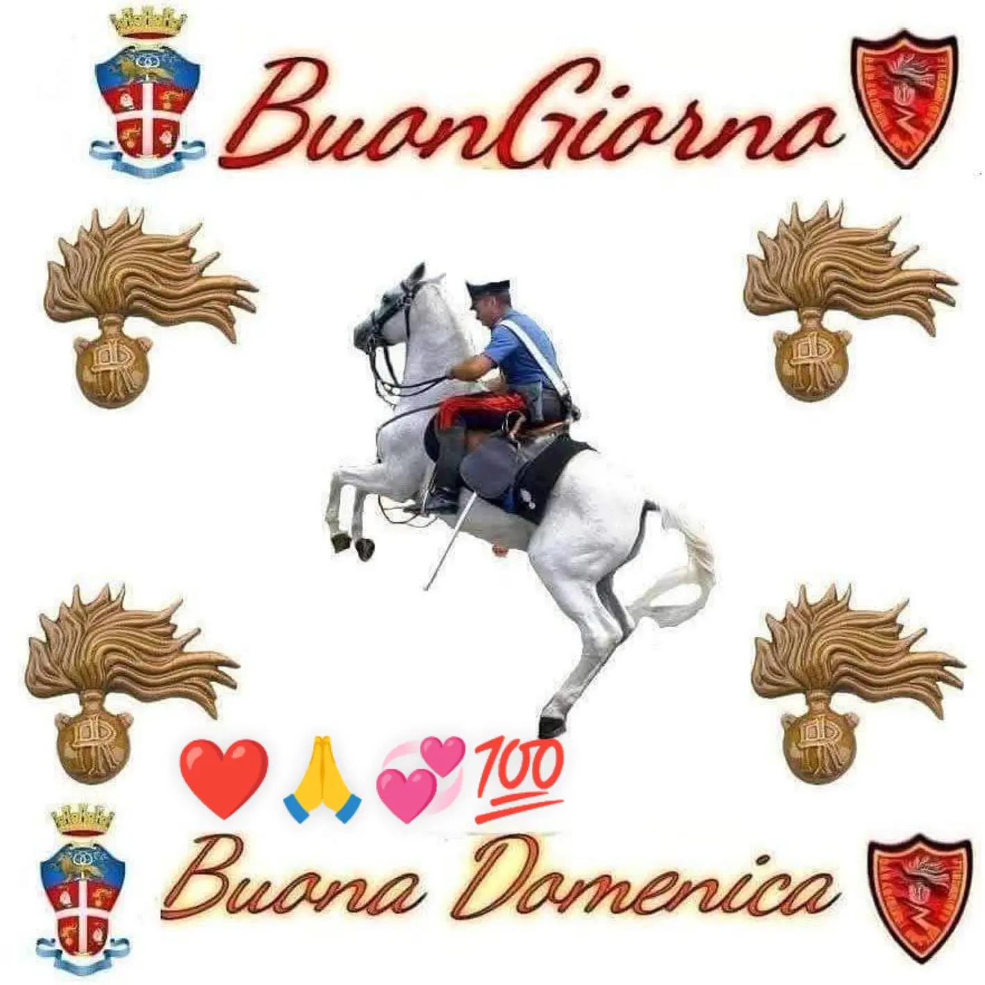 @Giulia