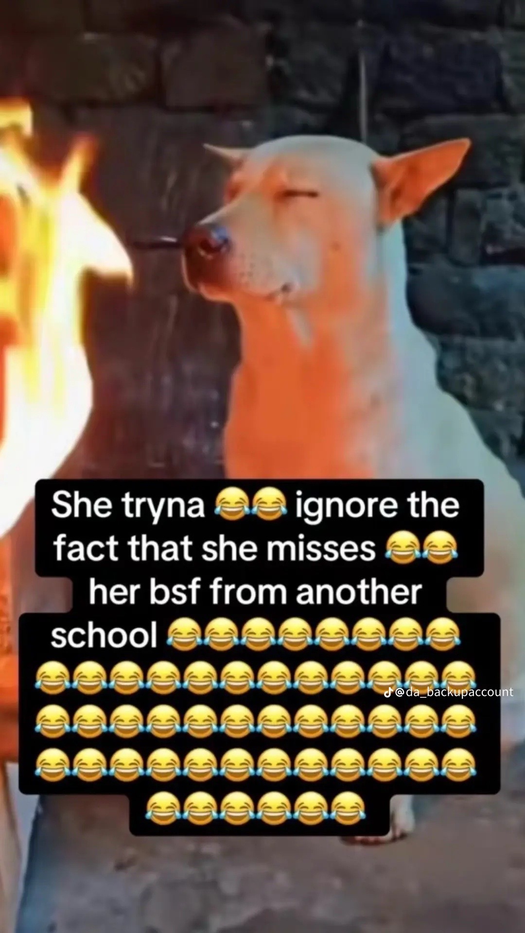 @alana 𝄞