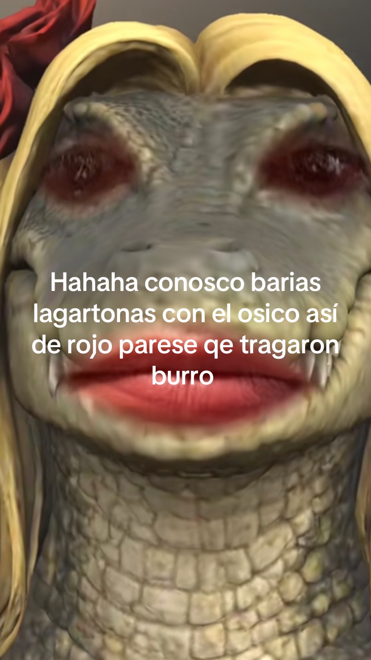 @bbchaparrita3