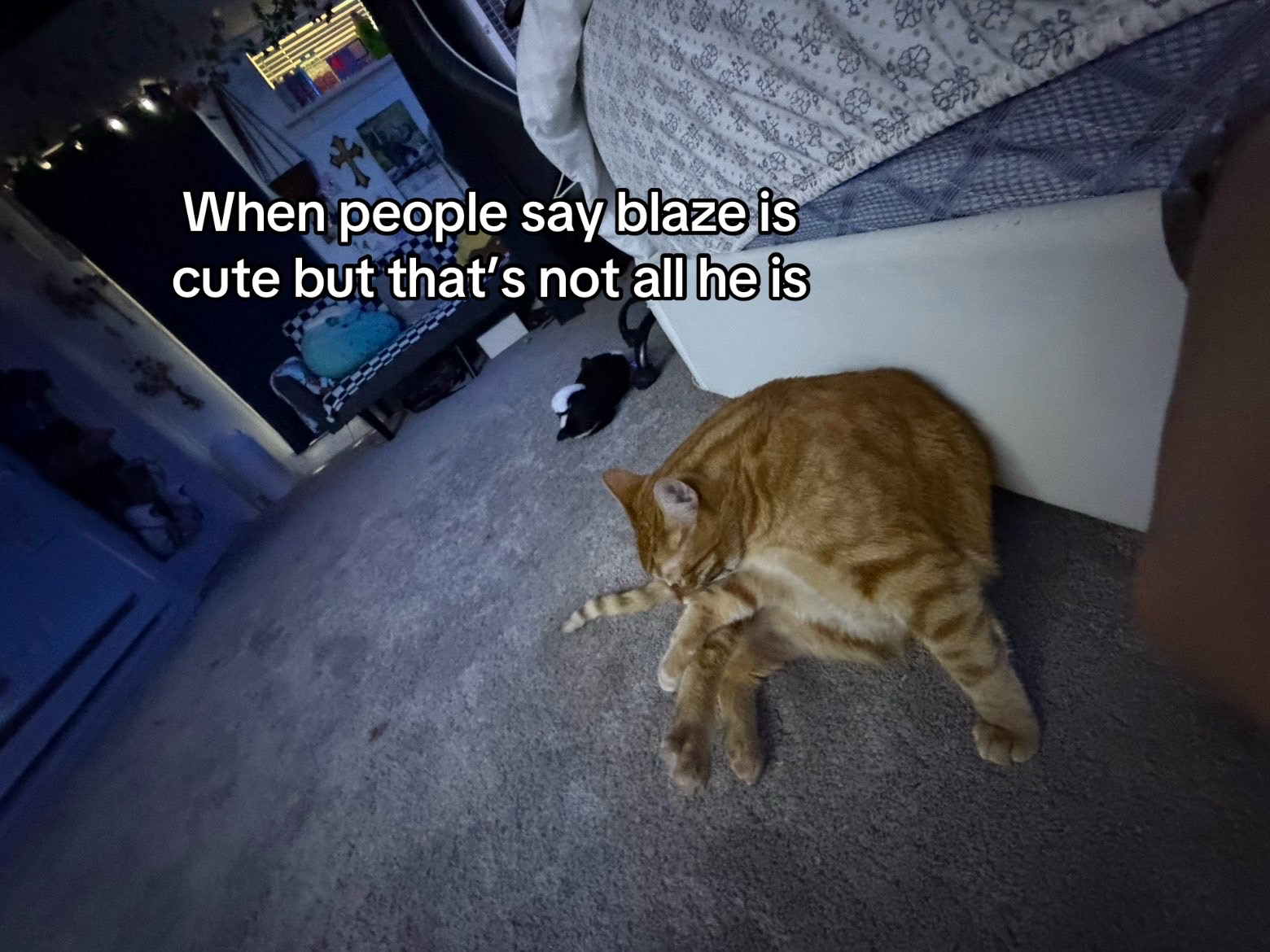 @magzz?