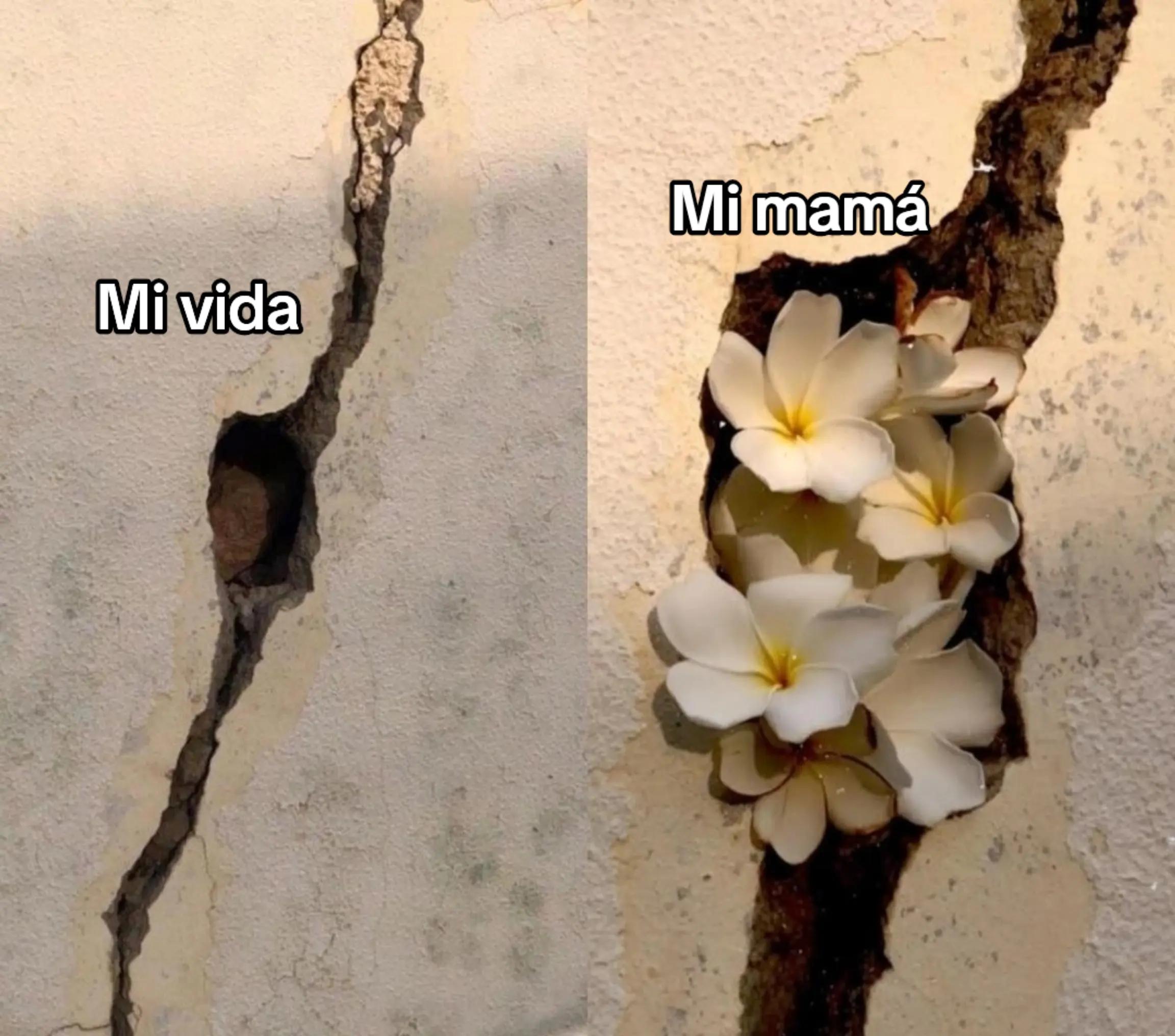 @๐ก ๐ ๐๐๐จ๐๐ฃ๐๐๐ฆฆ๐ ๐ก