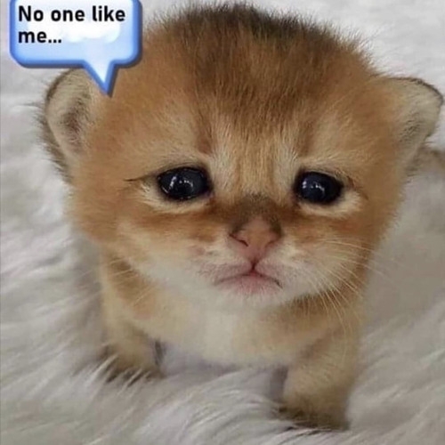 @ell
