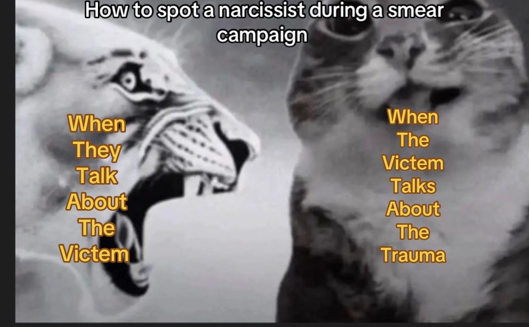 @kitkattbloom13
