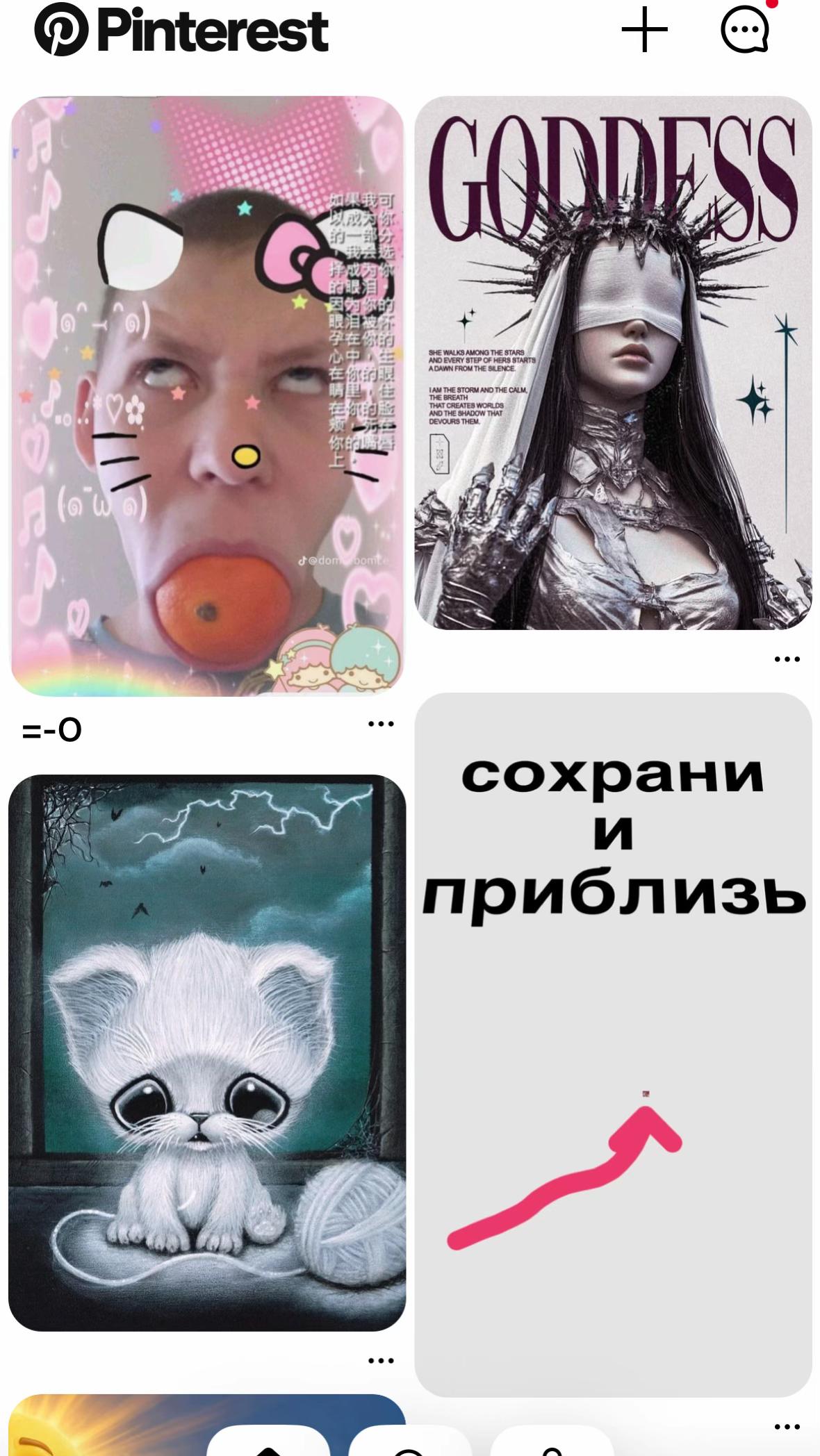 @👽 𝓓𝓪𝔀𝓪👽
