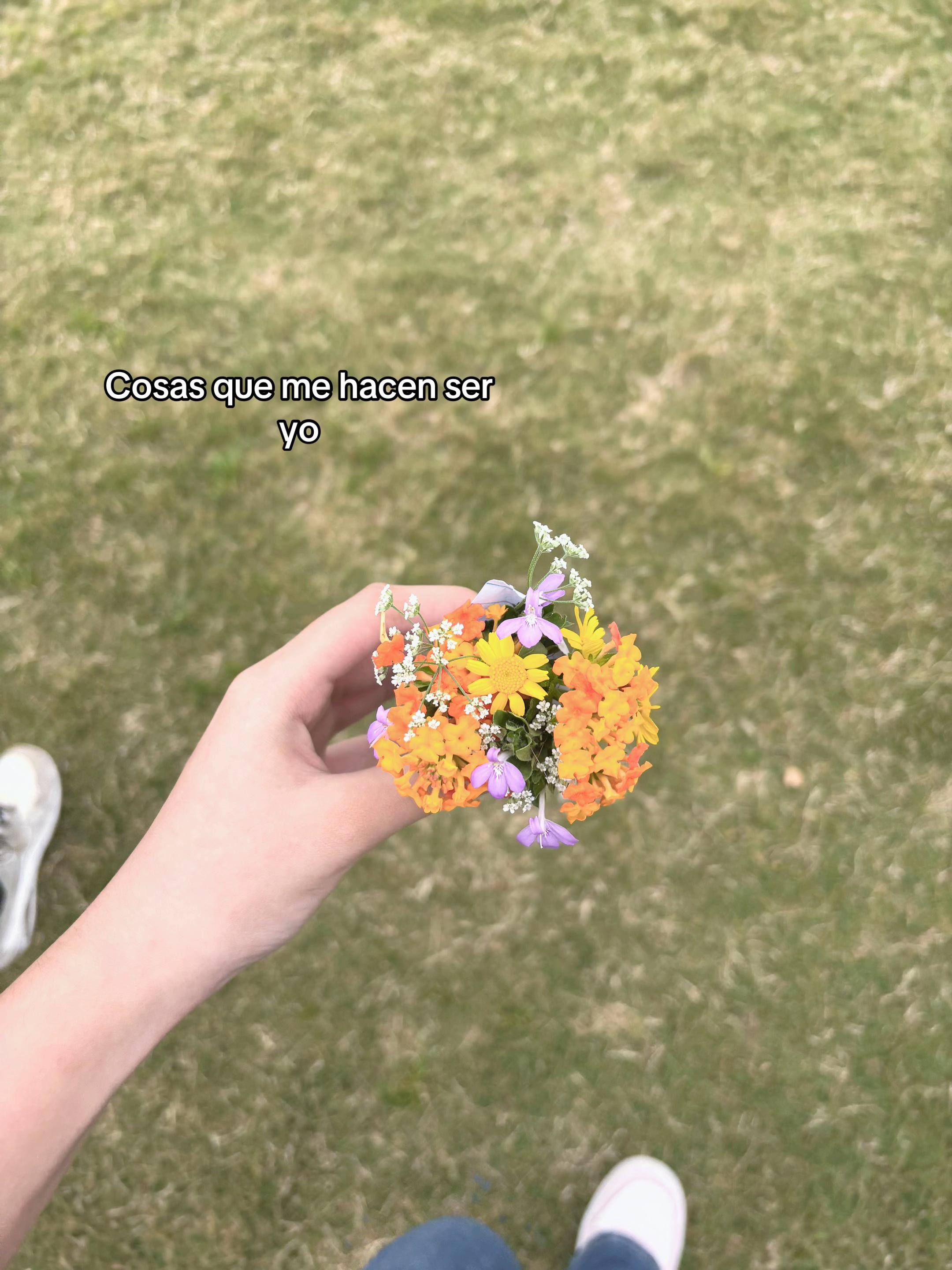 @୧ ‧₊˚&sdot;☆ 𝓜𝓪𝓯𝓮𝓻𝔂˚₊‧꒰ა ♱
