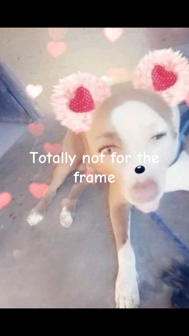 @𐙚⋆°🦢。⋆♡