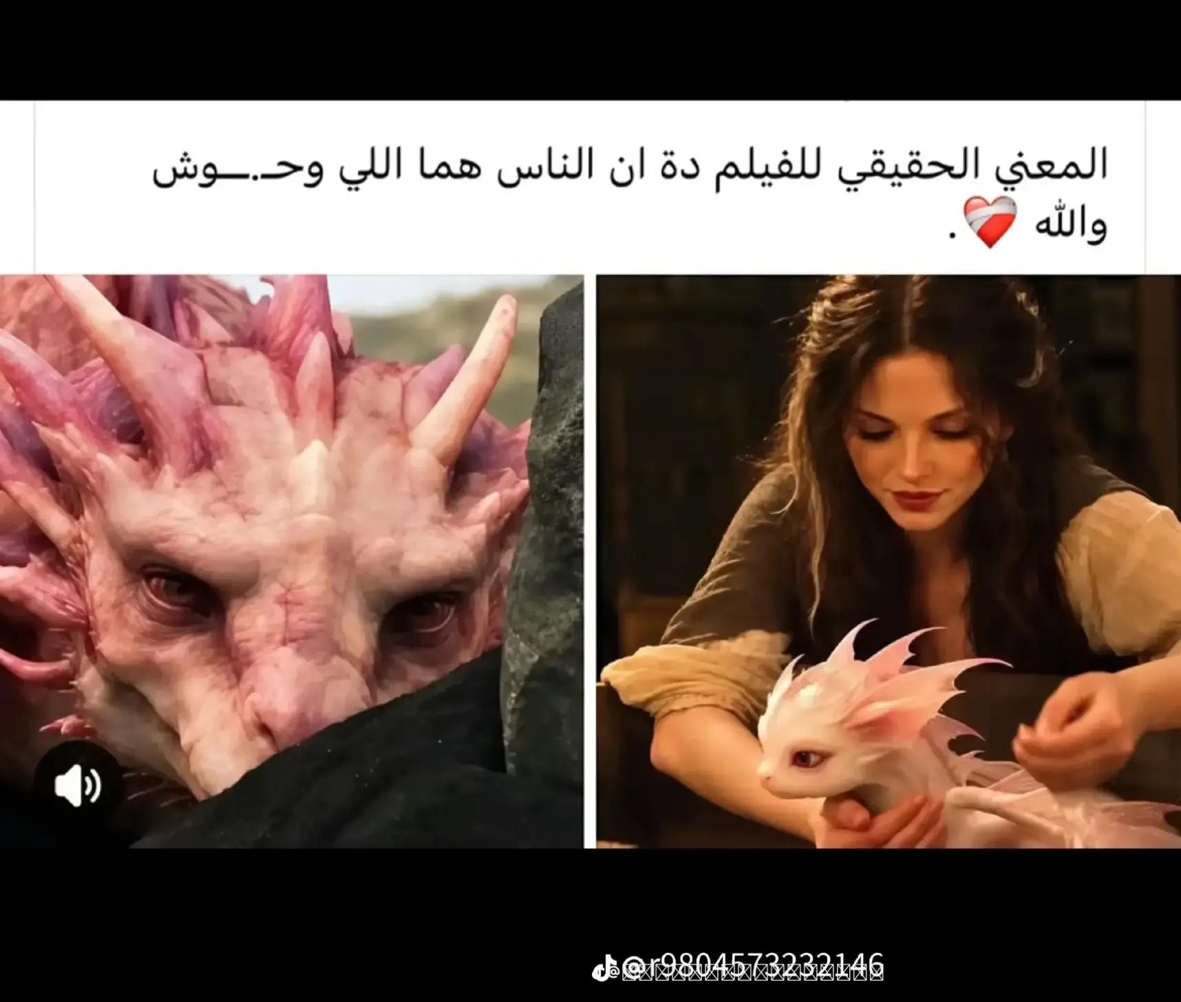 @شوشو وحش الكون ❤️☺️🥰😍😍