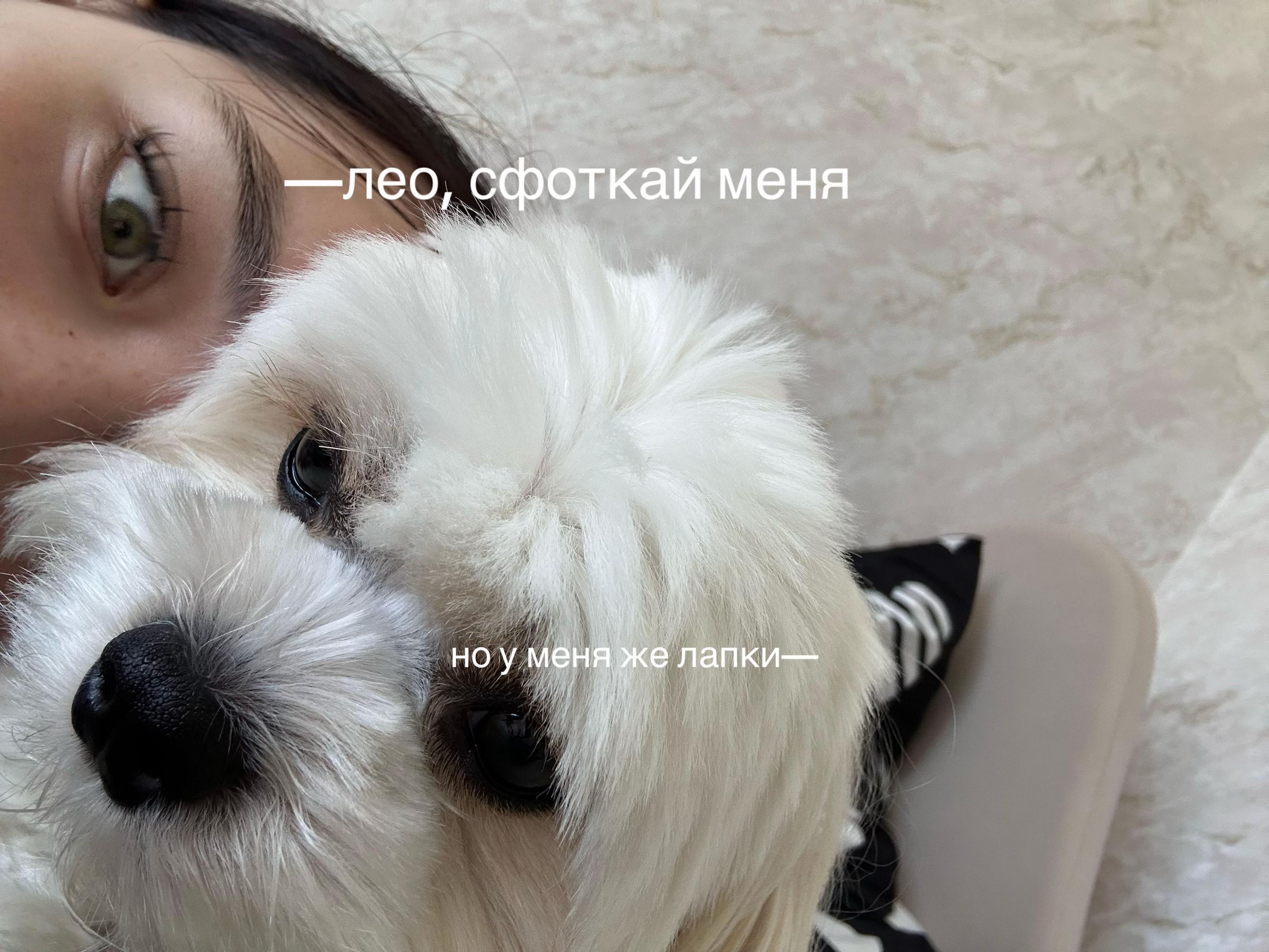 @крип