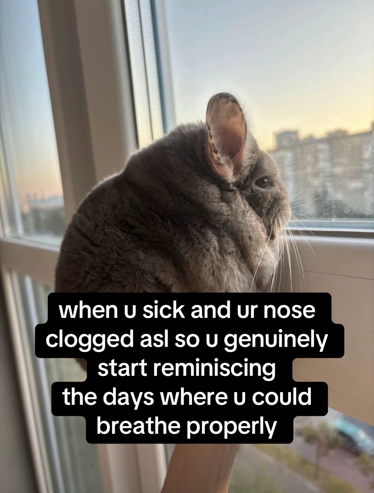 @dopegirl13