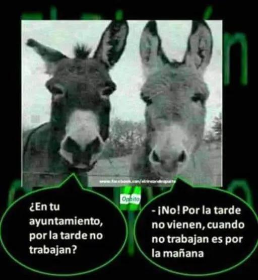 @el heavy 65