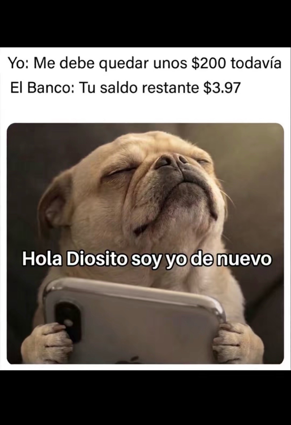 @Esmeralda Ch&aacute;vez