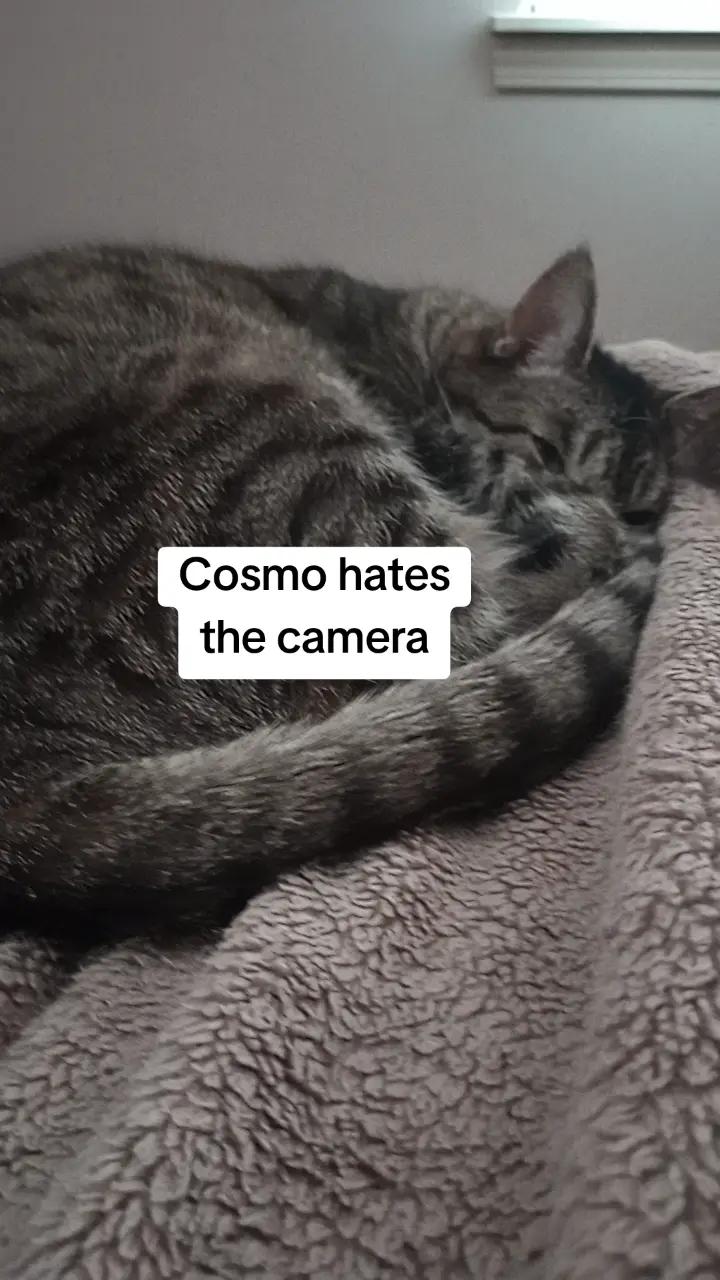 @Krista❌