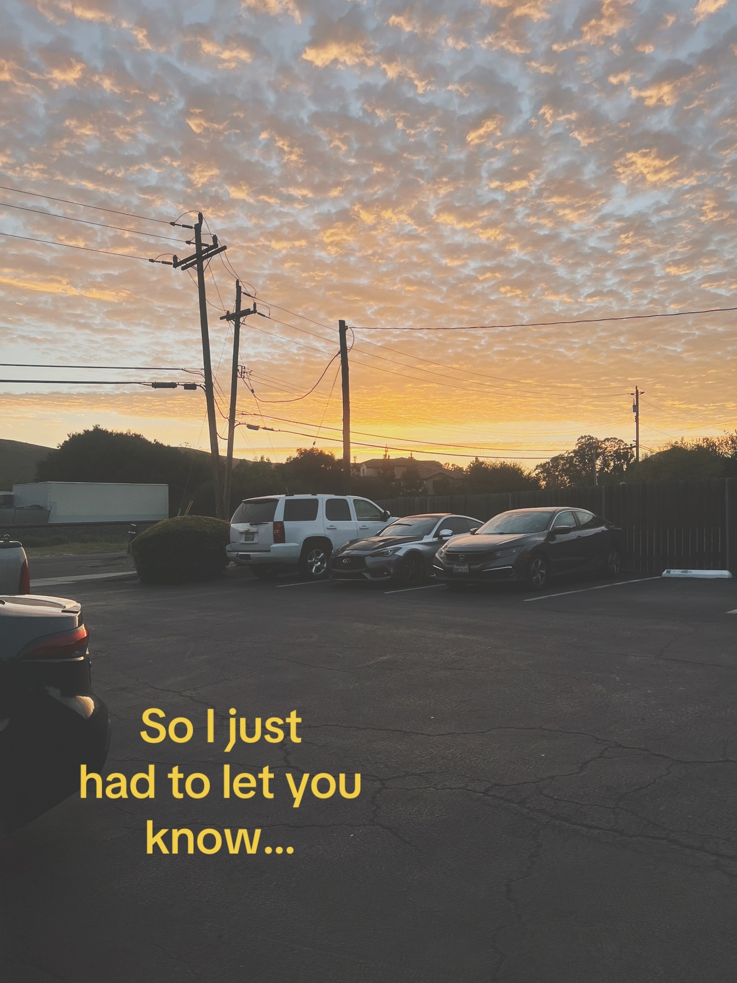@★彡𝓜𝓮𝓵𝓲𝓼𝓼𝓪彡★
