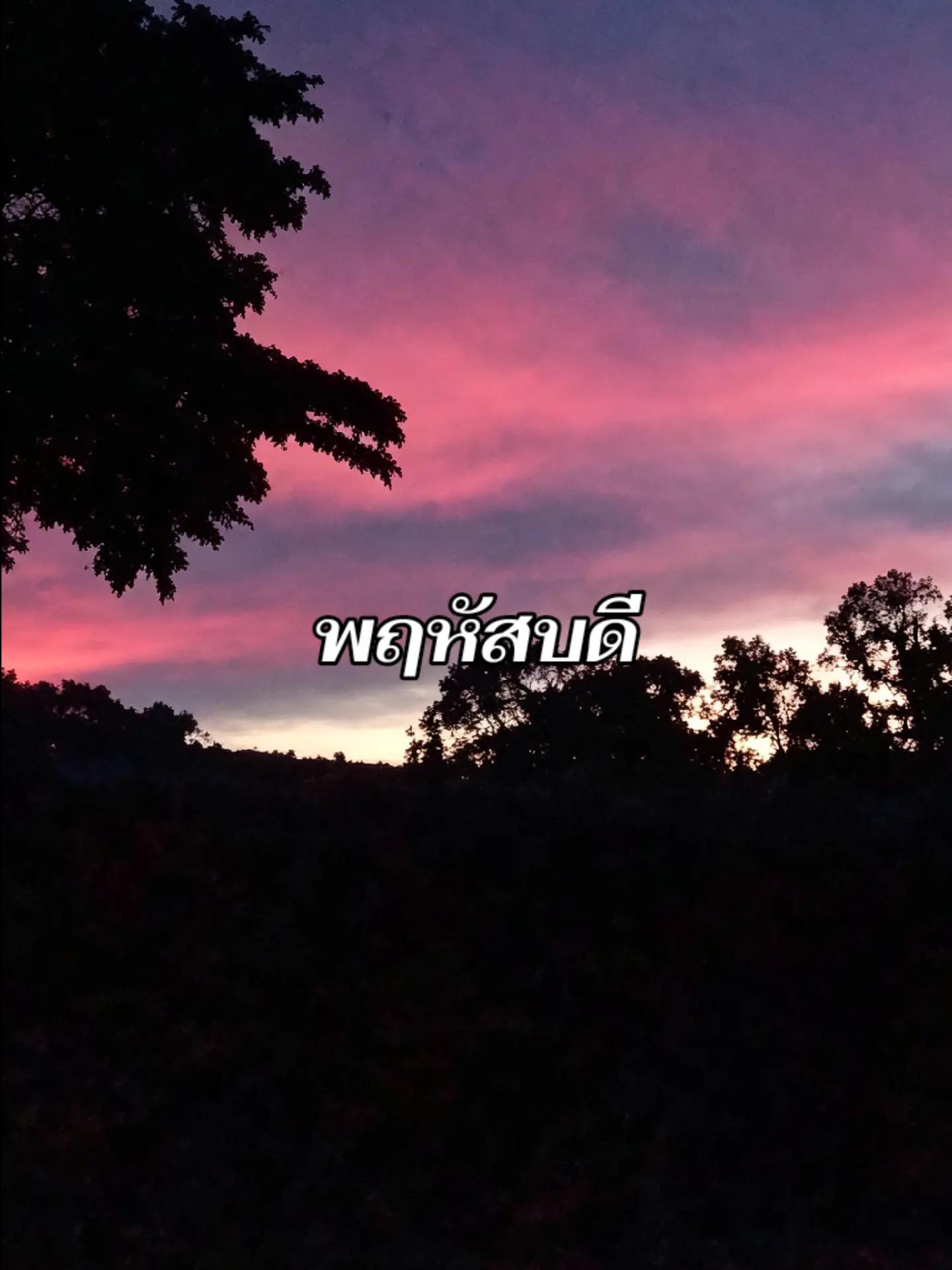 @MEI (ᵔᴥᵔ)
