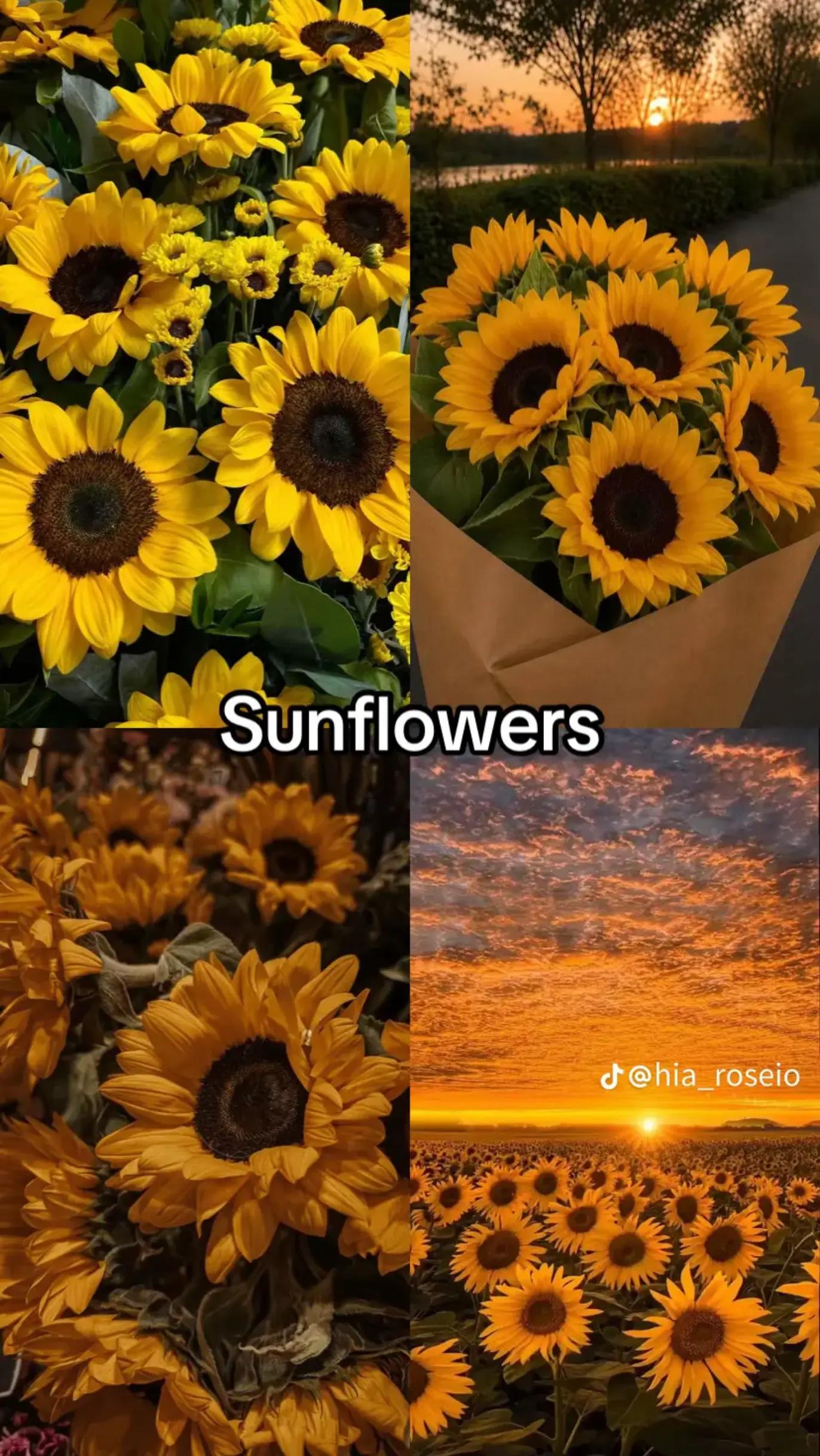 @Larissa Gonzalez