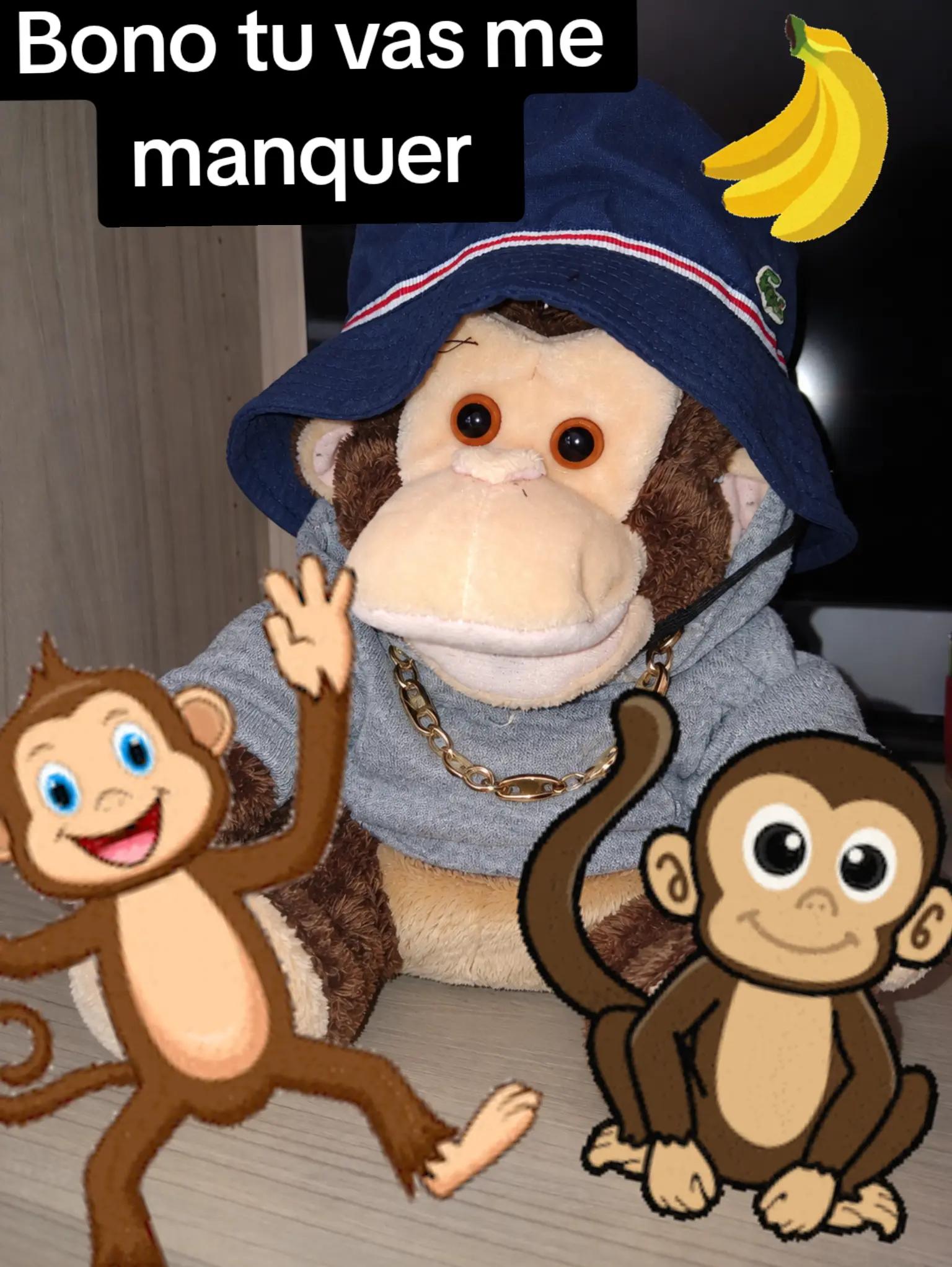 @Lilinette  🇨🇵🇧🇪💛