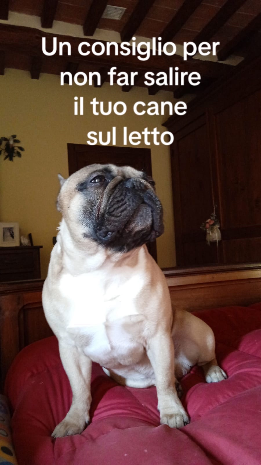 @lauragranci71