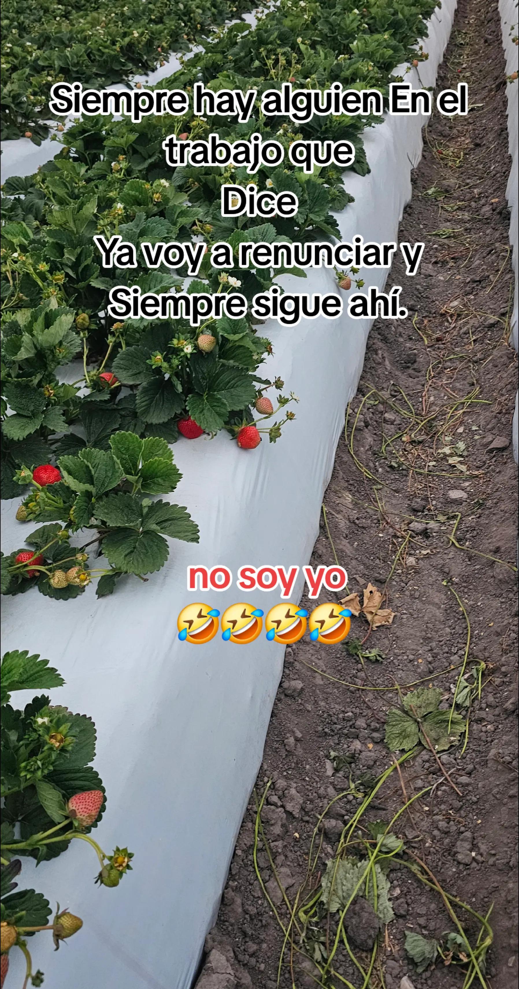 @🇲🇽🐦&zwj;⬛🪺VASQUEZ🚚🌪💎
