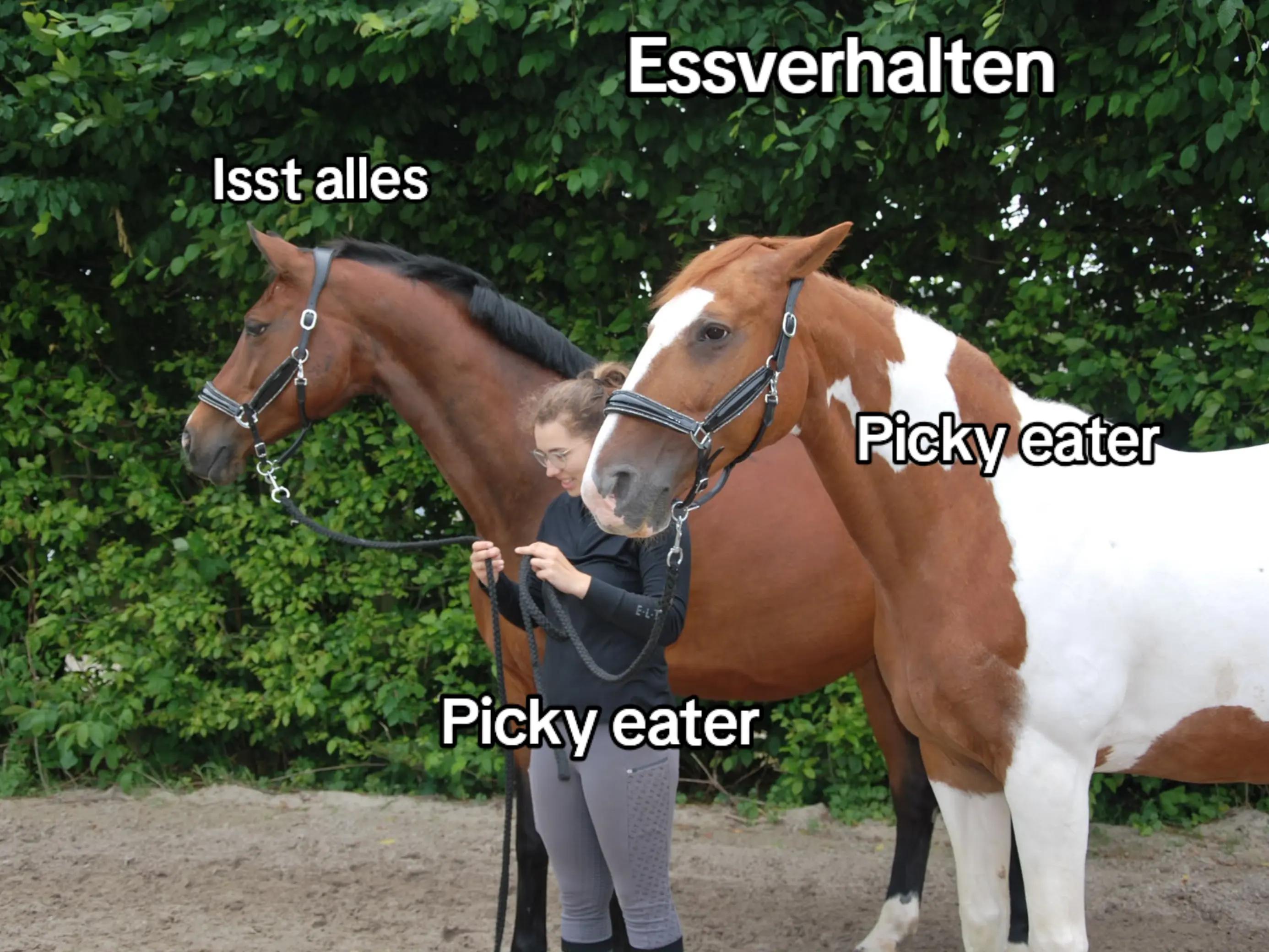 @Eva Neun