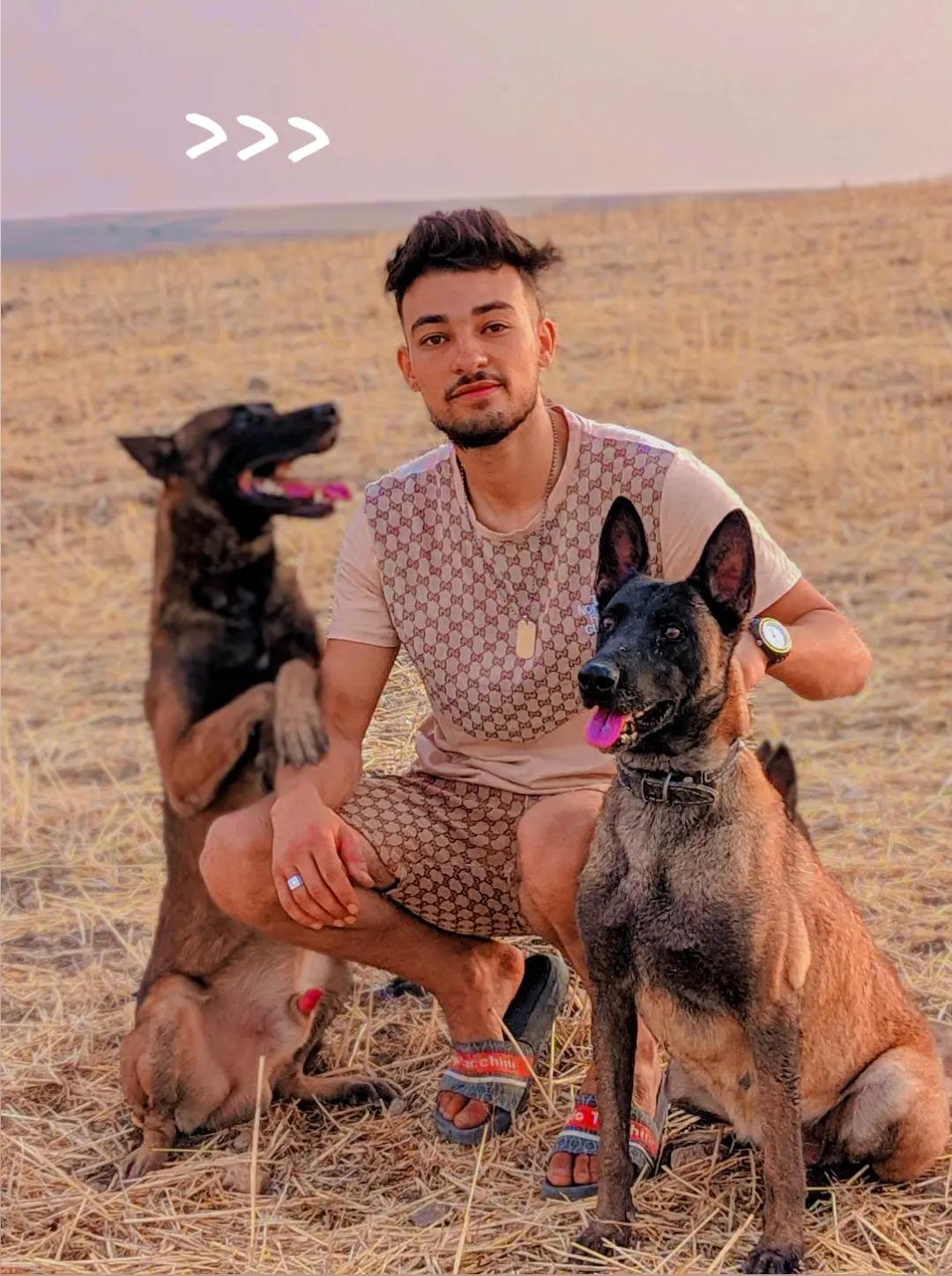 @Cizeer_kiva malinois k9 🐕🦺