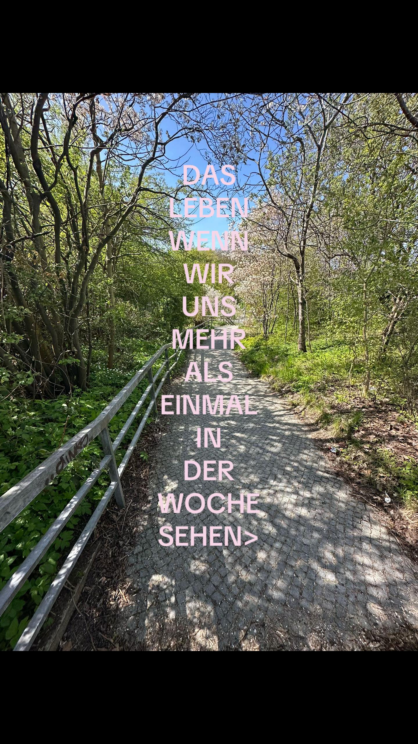 @km.sx