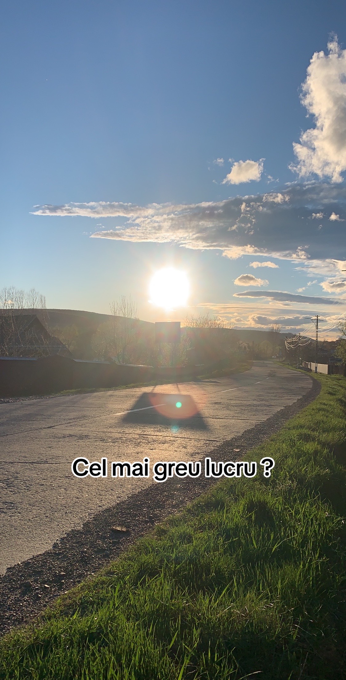 @Teodora