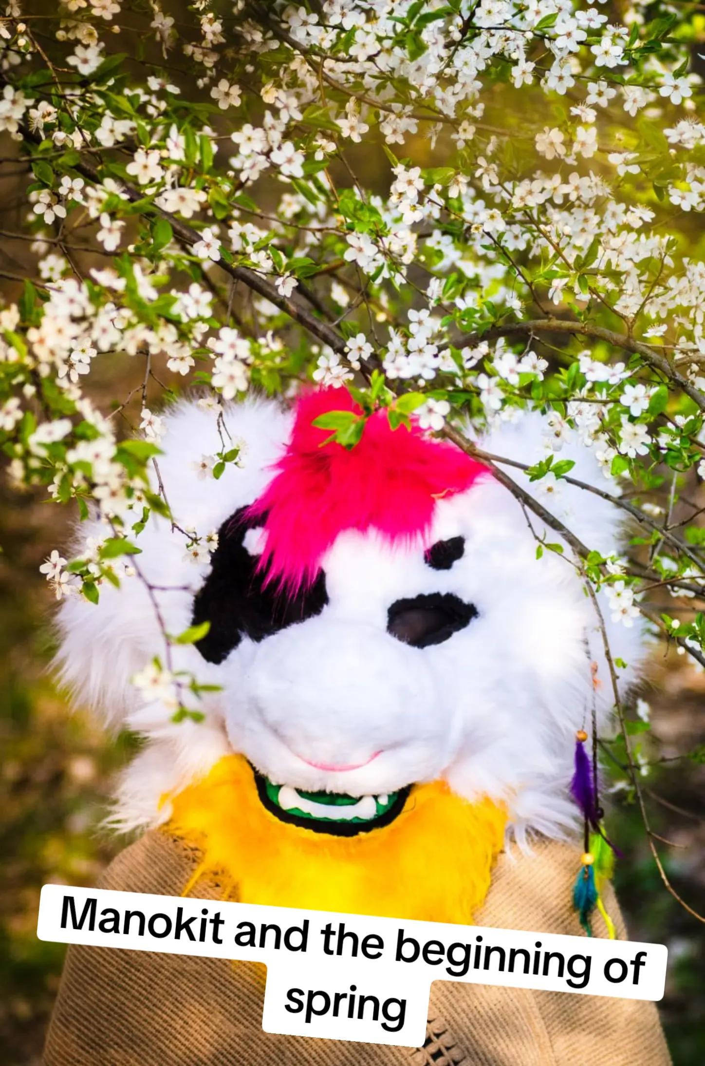 @Krawacik Panda