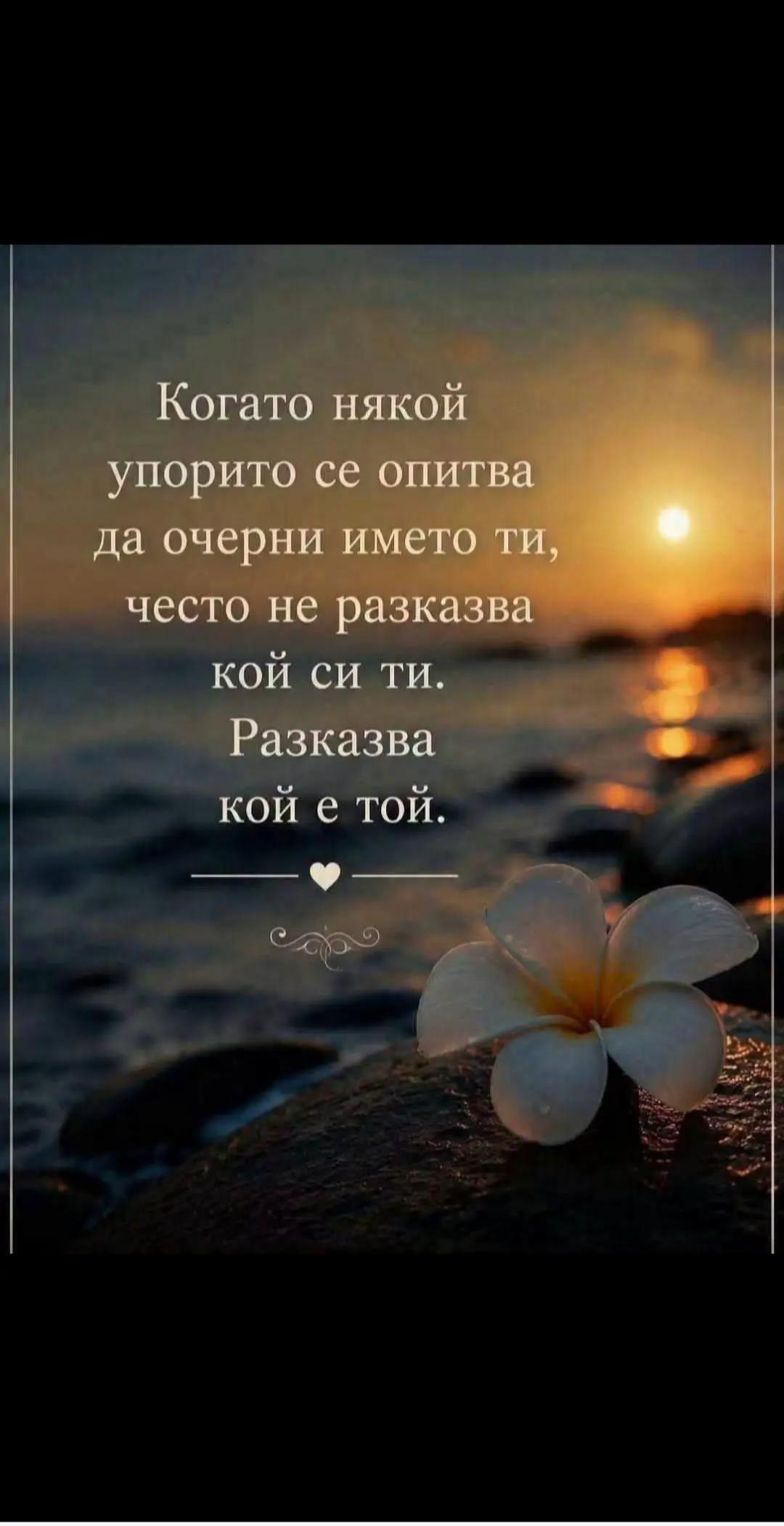 @Anife12