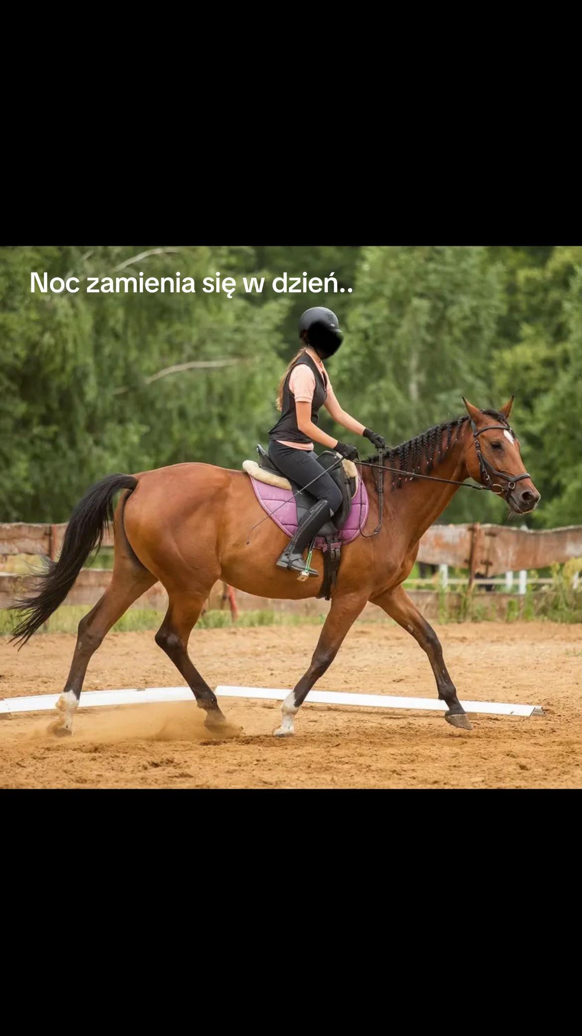 @s.equestrian