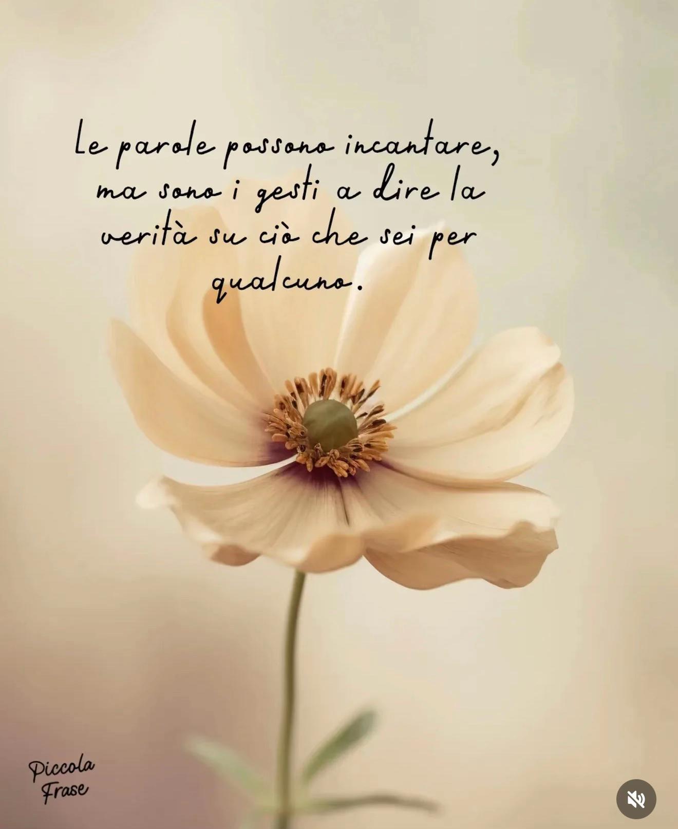 @🌷 Anita 🌷