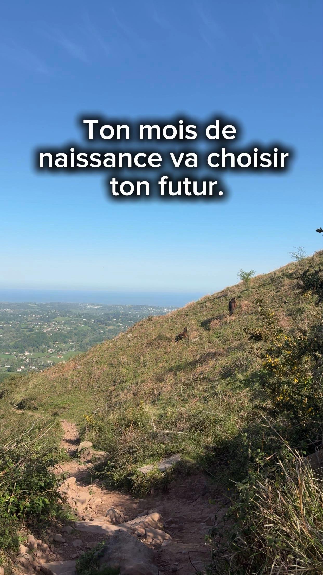 @zéno