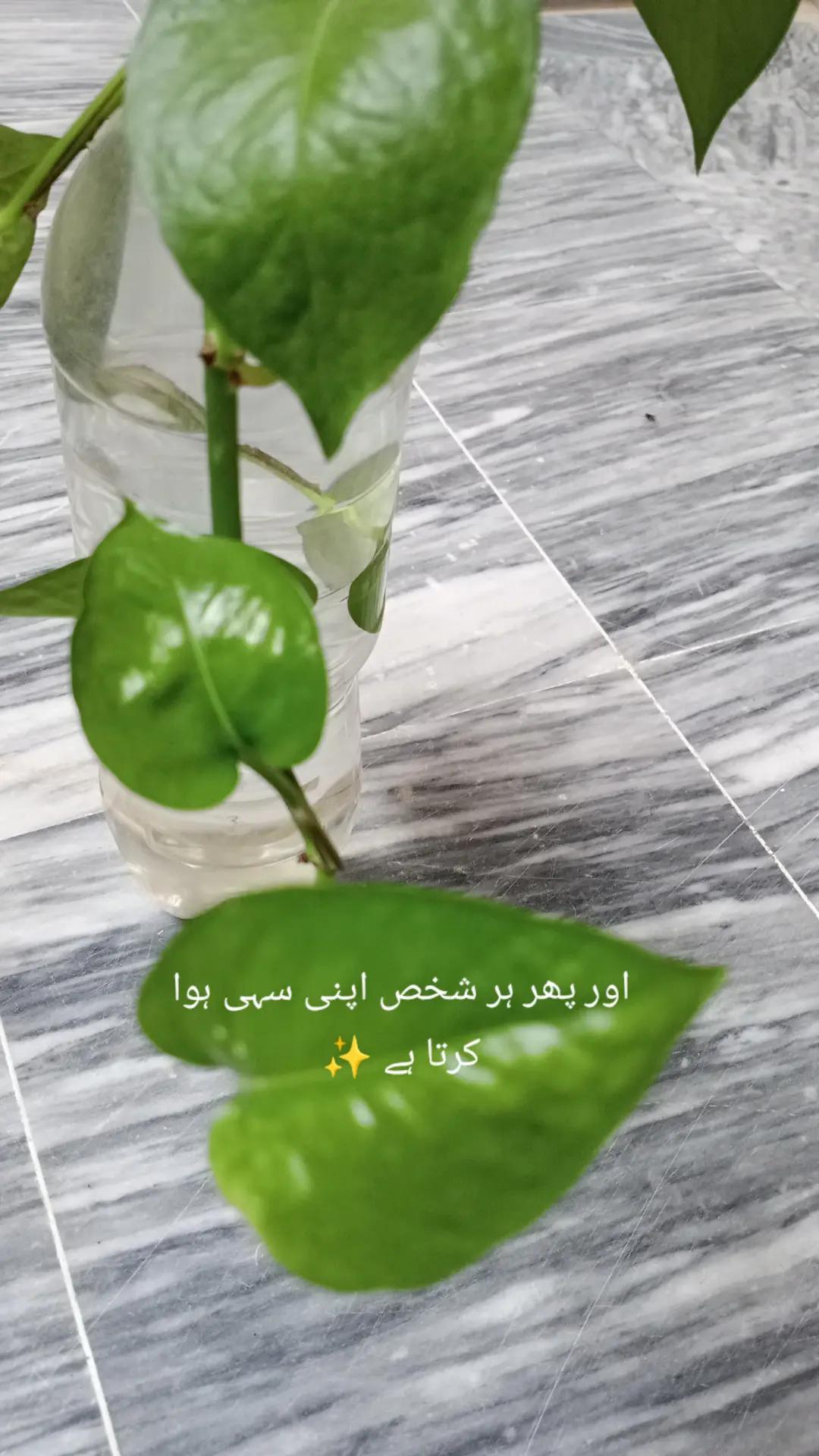 @Beboo🎀🐥