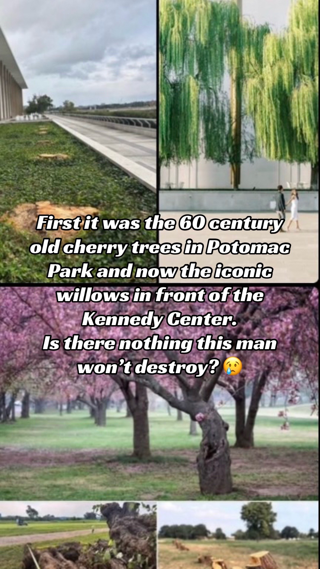 @lynnc4change