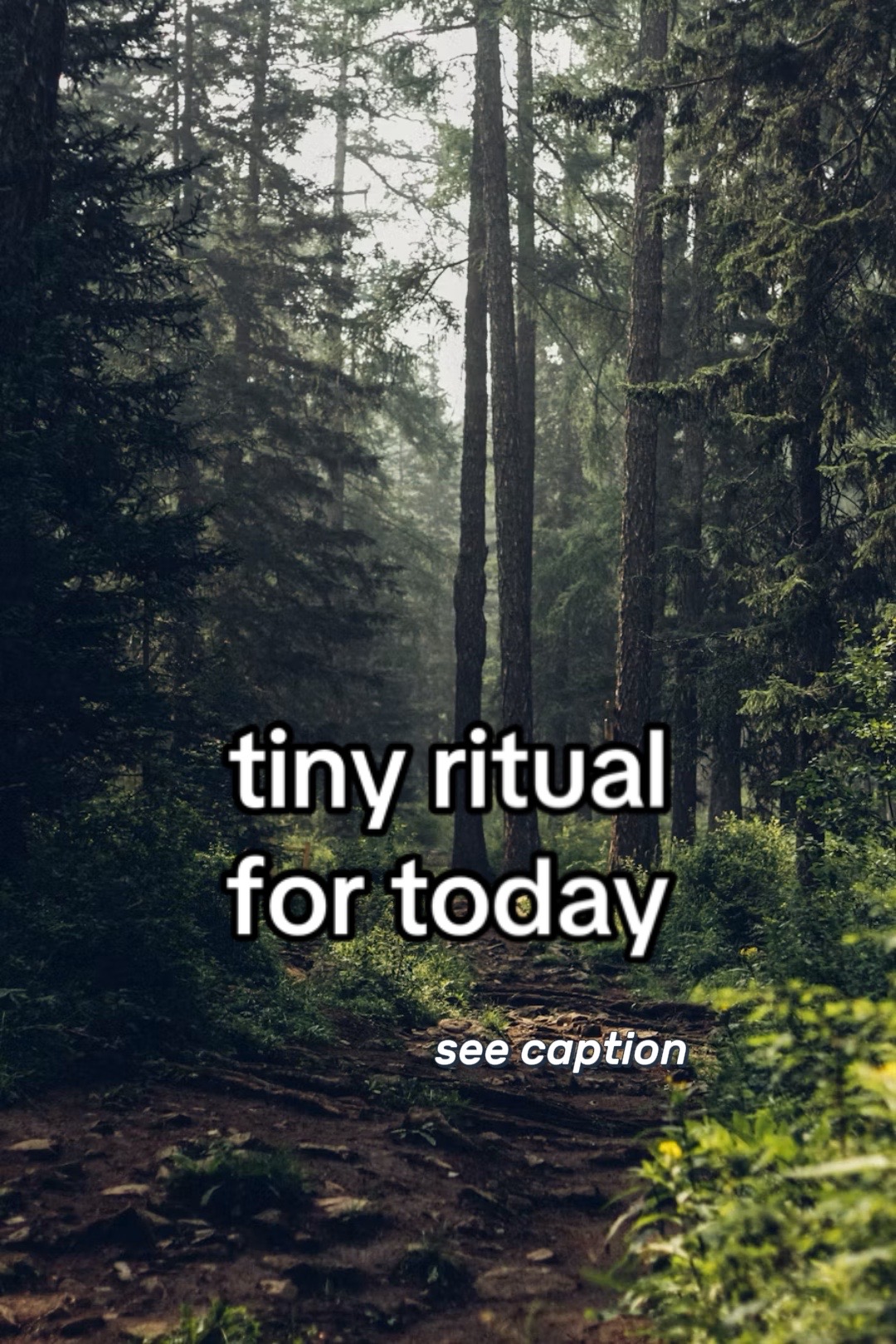 @Feral.Rewilding