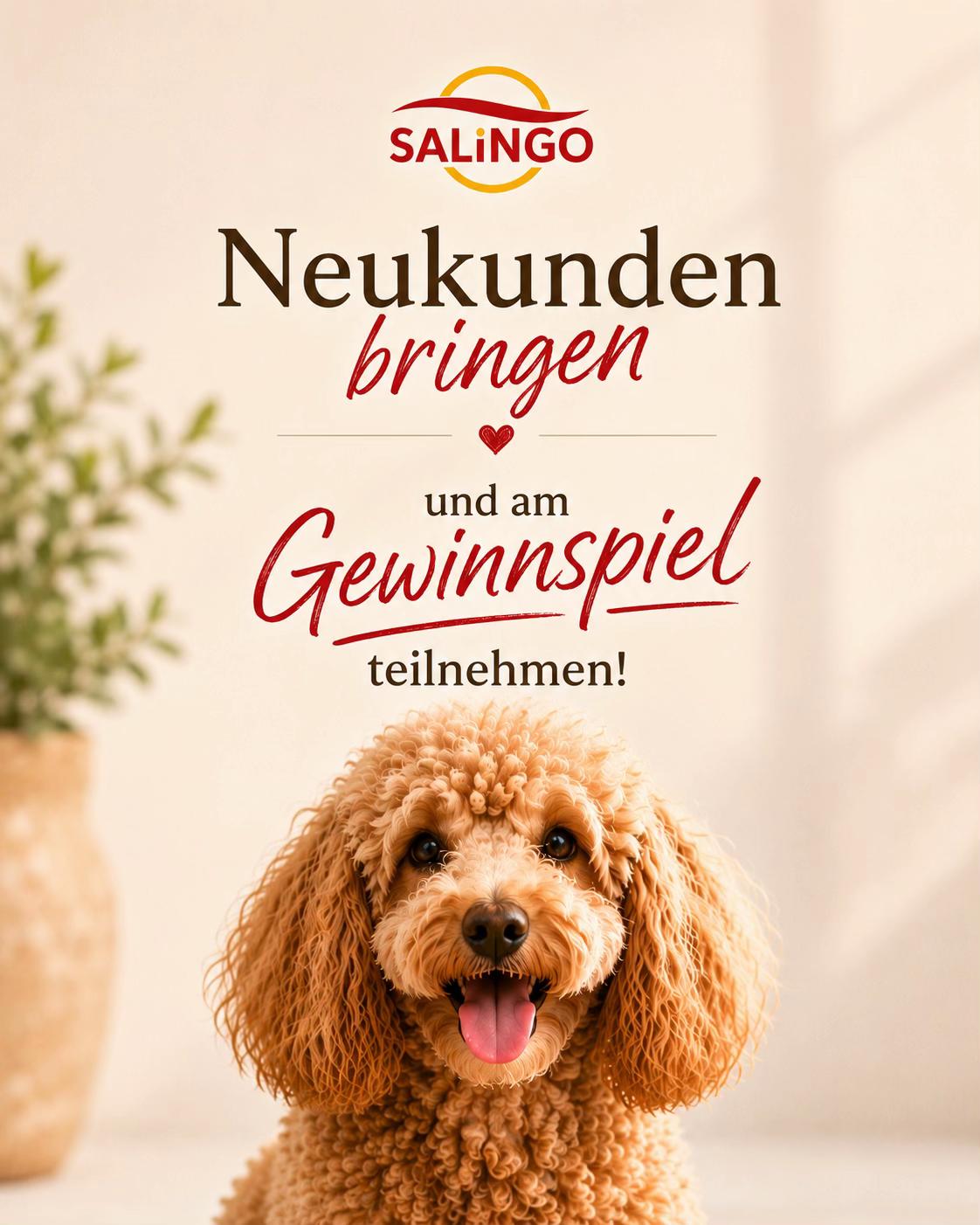 @SALiNGO