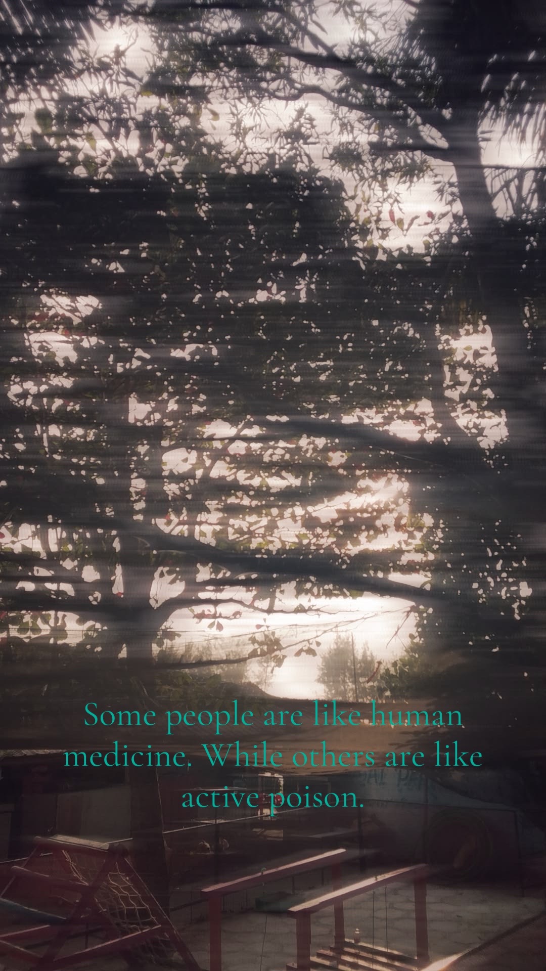 @thehiddenlife