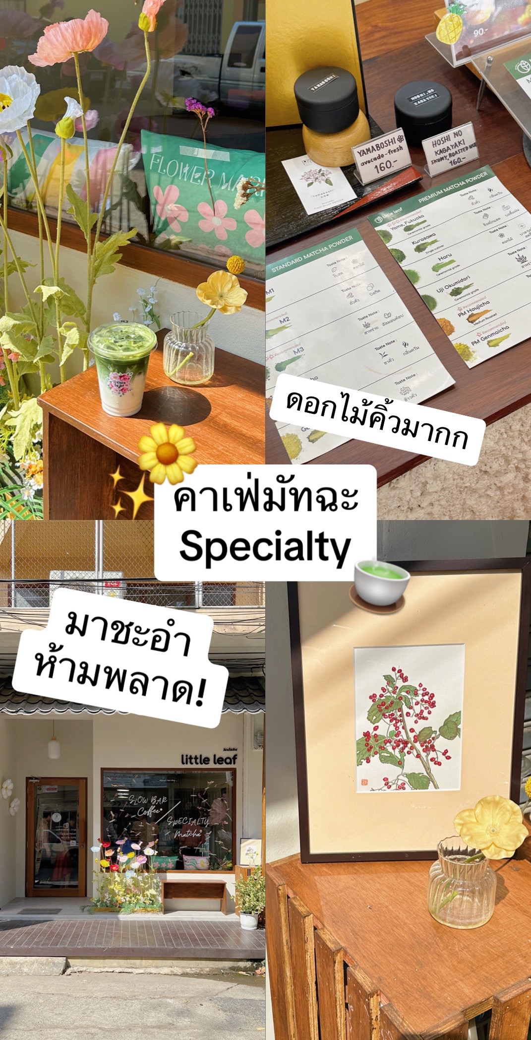@ตาวว iam.tw