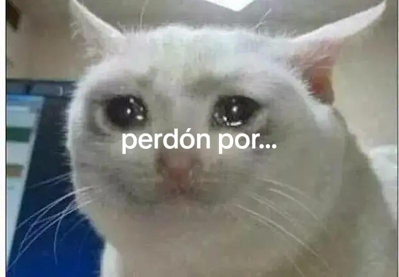@:'3