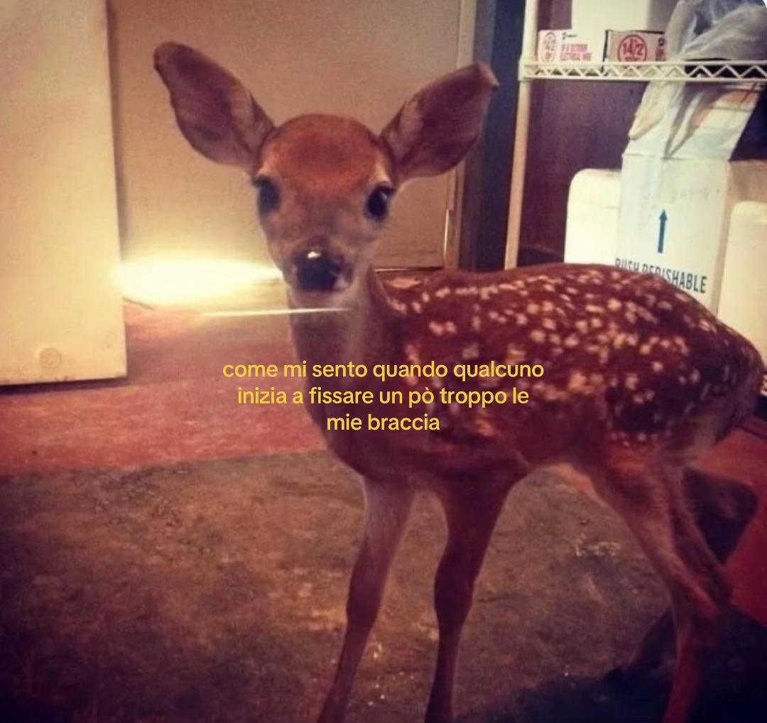 @🌪️
