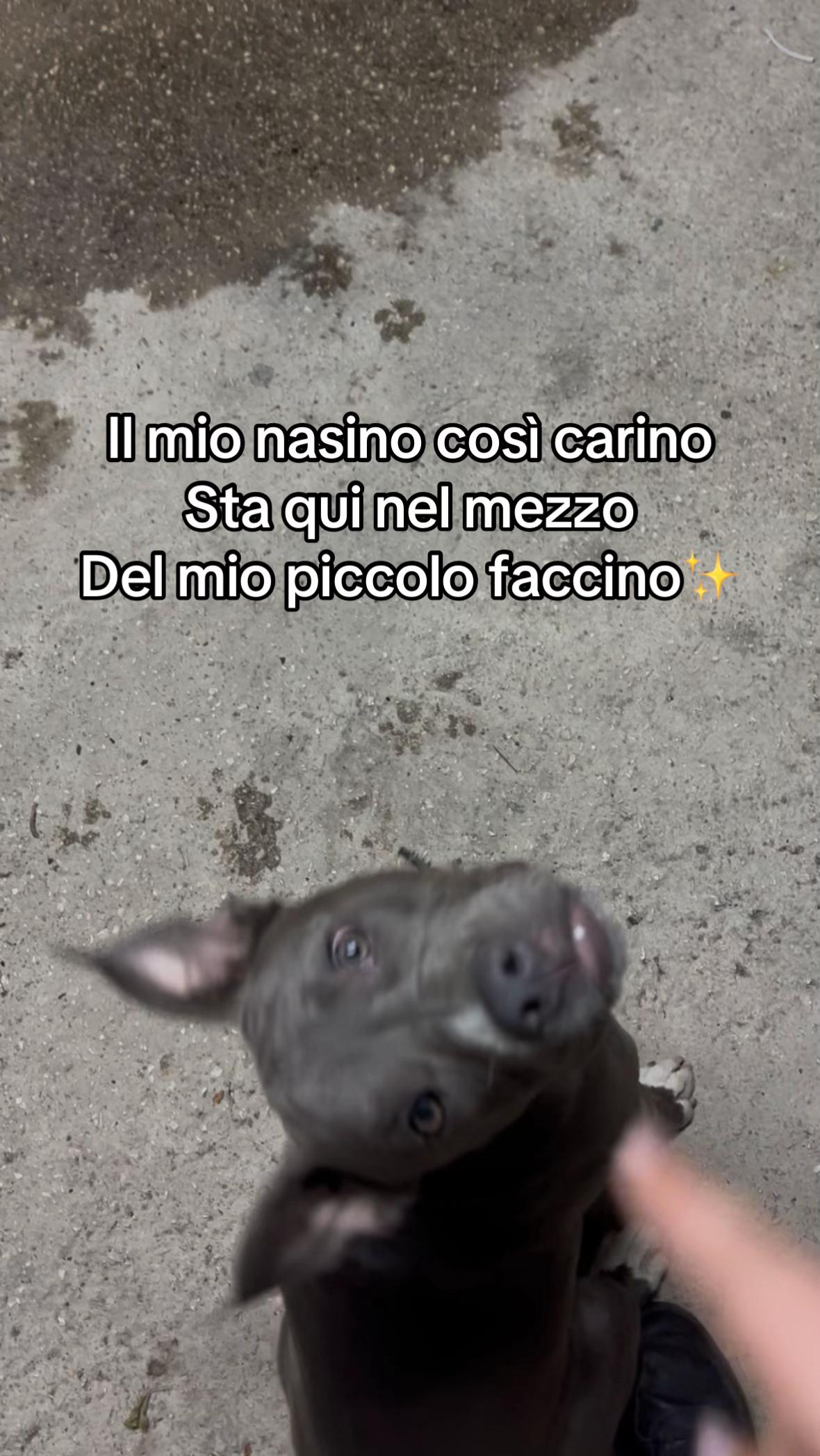 @Susy.dipalma