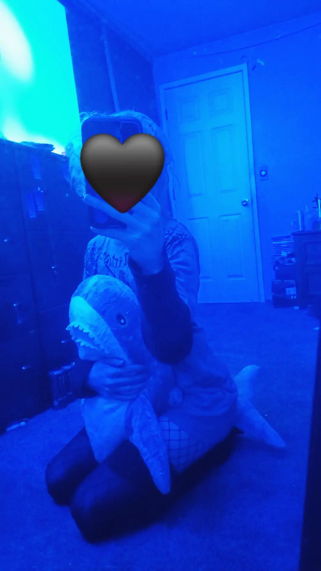 @&bull;∘🤍 𝓣𝓪𝔂𝓵𝓸𝓻 🦈∘&bull;