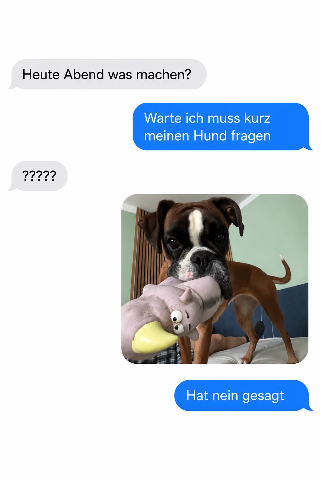 @TypischDori