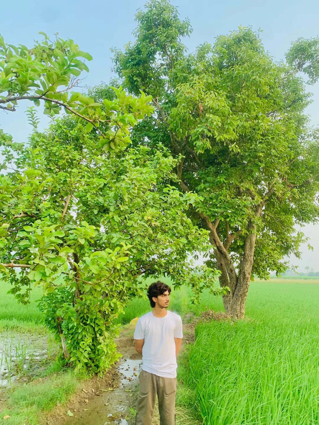 @عبداللہ🥀
