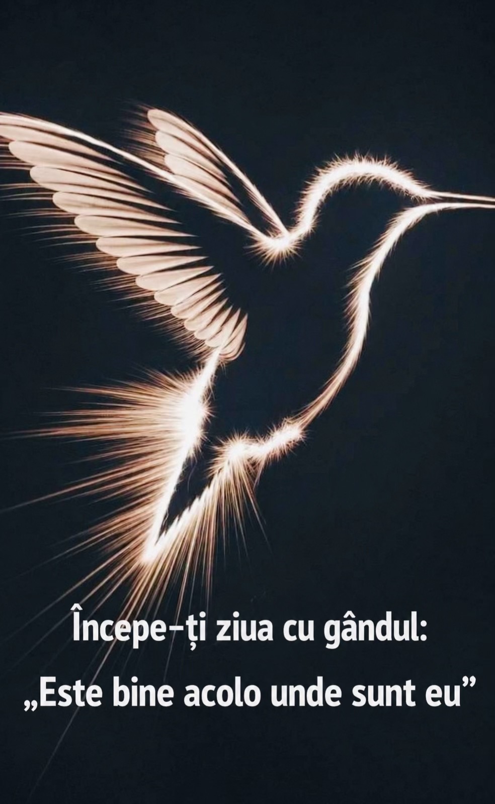 @Angela54