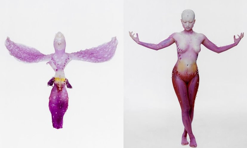 @artchivism