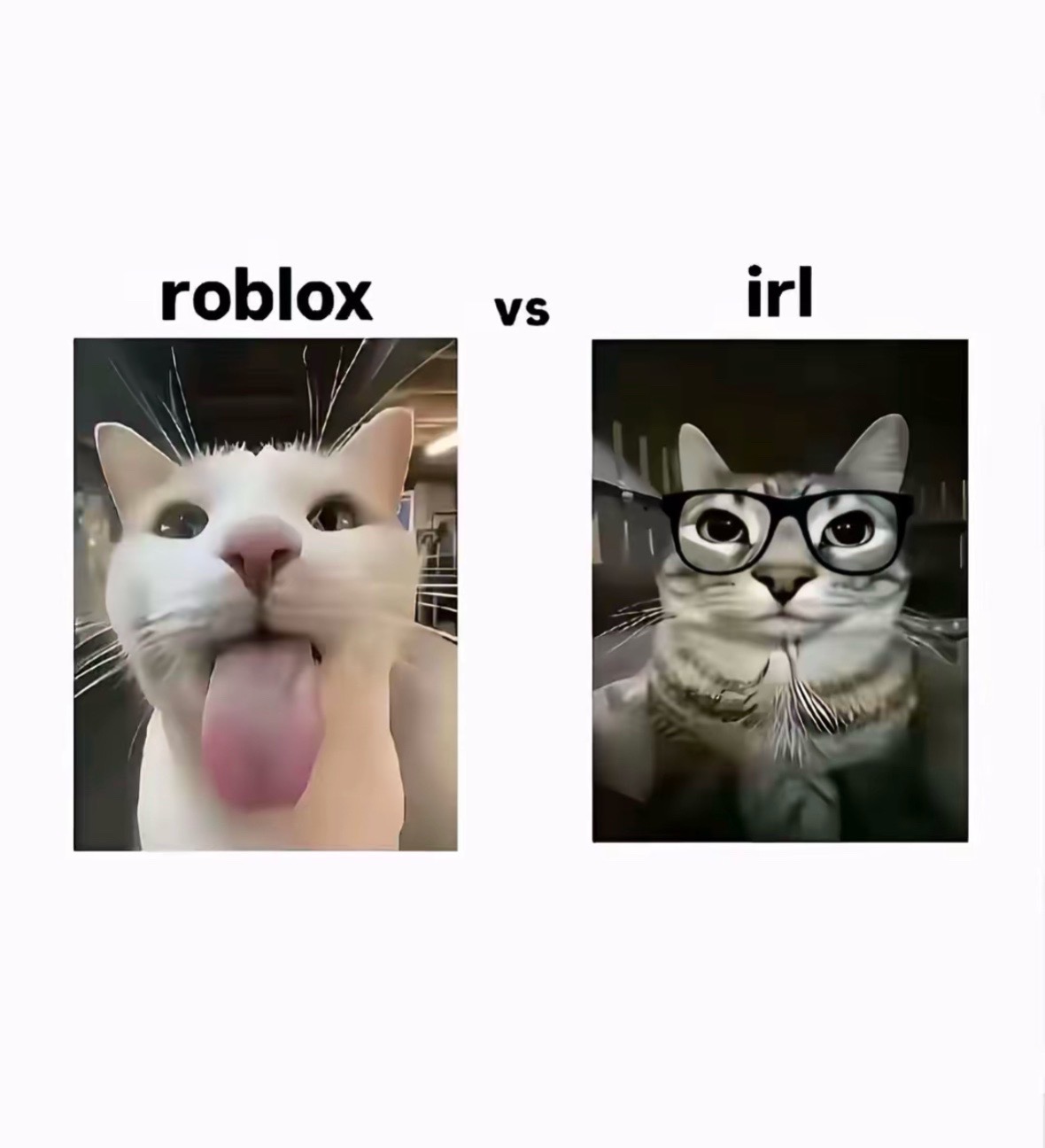 @соня момо asf